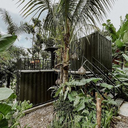 Daydream Lodge Tampaksiring Exterior foto