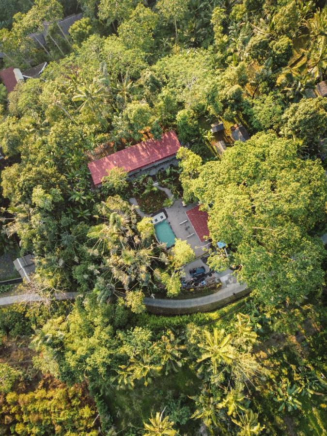 Daydream Lodge Tampaksiring Exterior foto