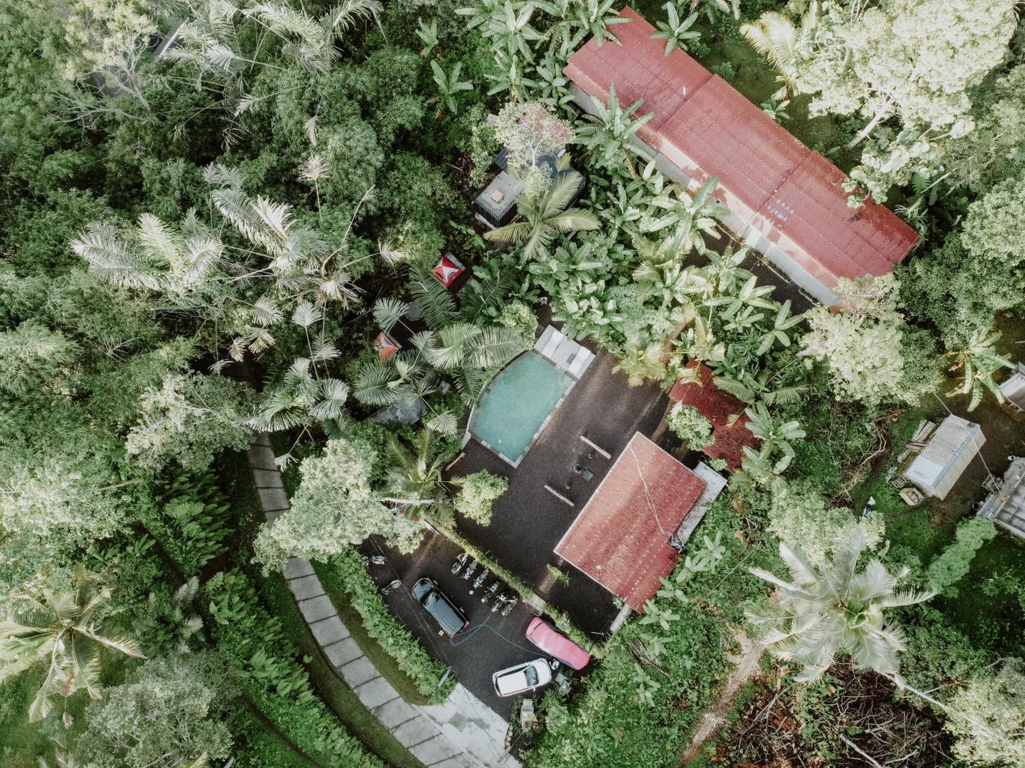 Daydream Lodge Tampaksiring Exterior foto