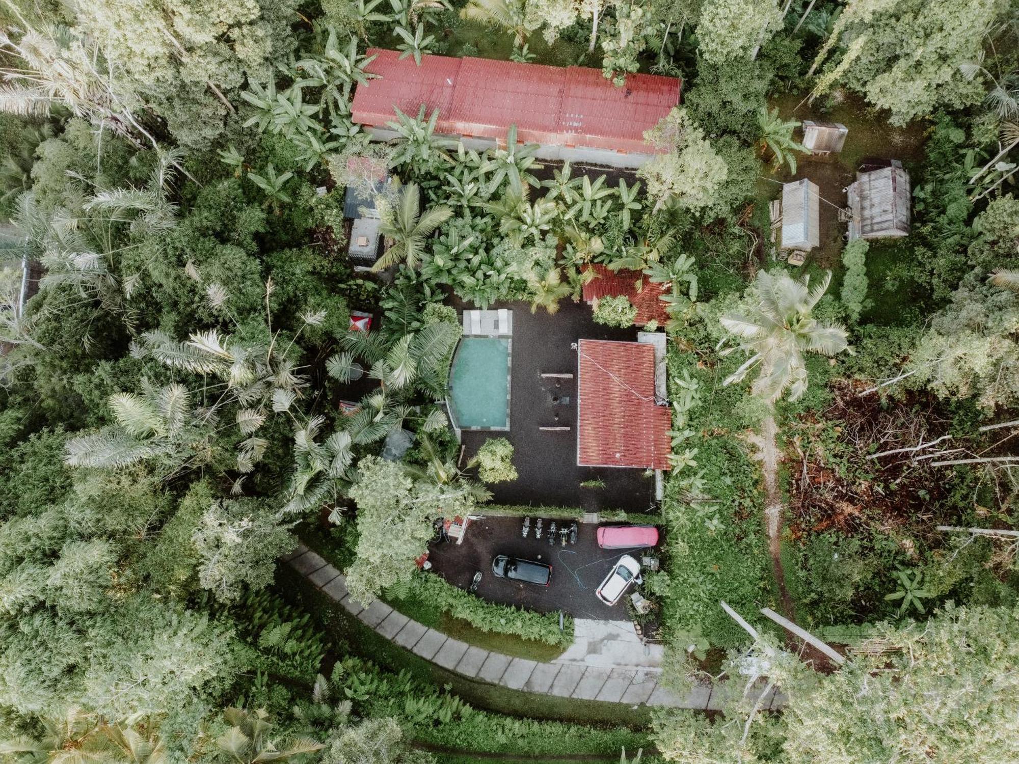 Daydream Lodge Tampaksiring Exterior foto